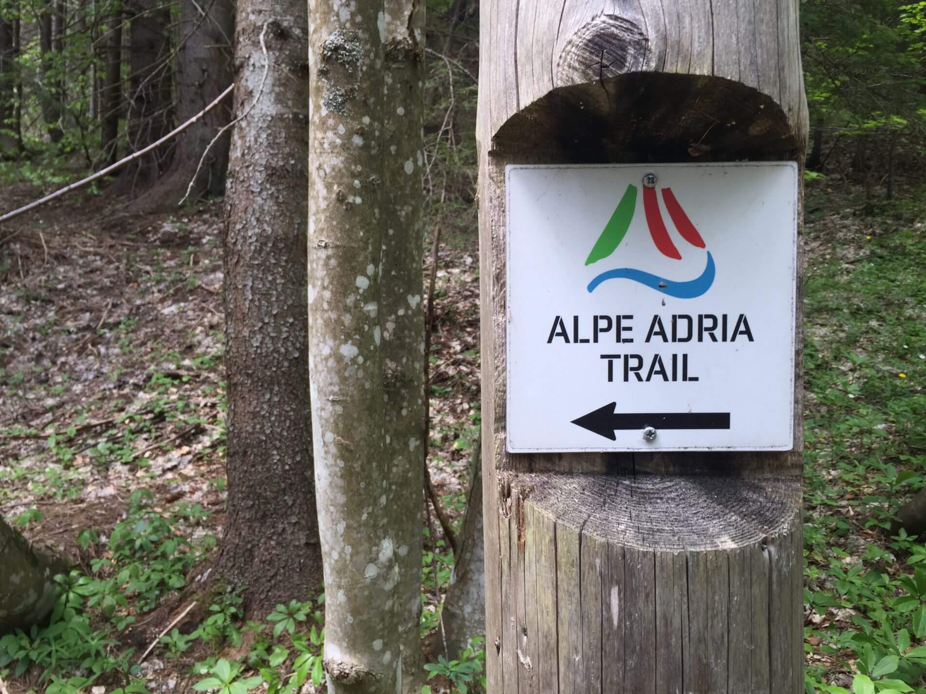 AAT_Alpe-Adria-Trail_Wegweiser