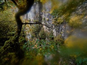Mullerthal_Felsenweg 1 im Oktober