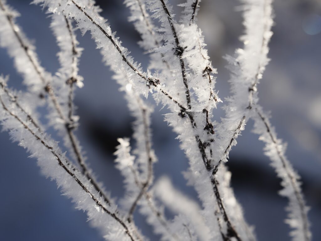 Eiskristalle_@Andrea C. Bayer